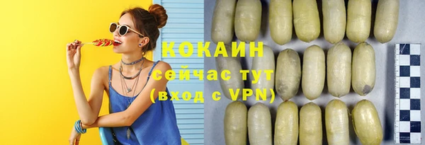 индика Новокубанск