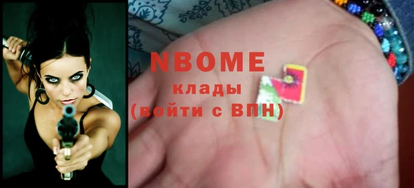 индика Вязьма