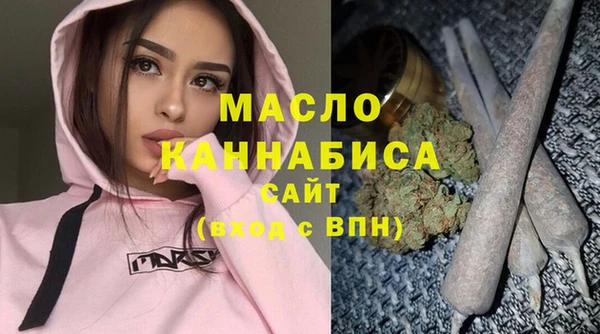 индика Новокубанск